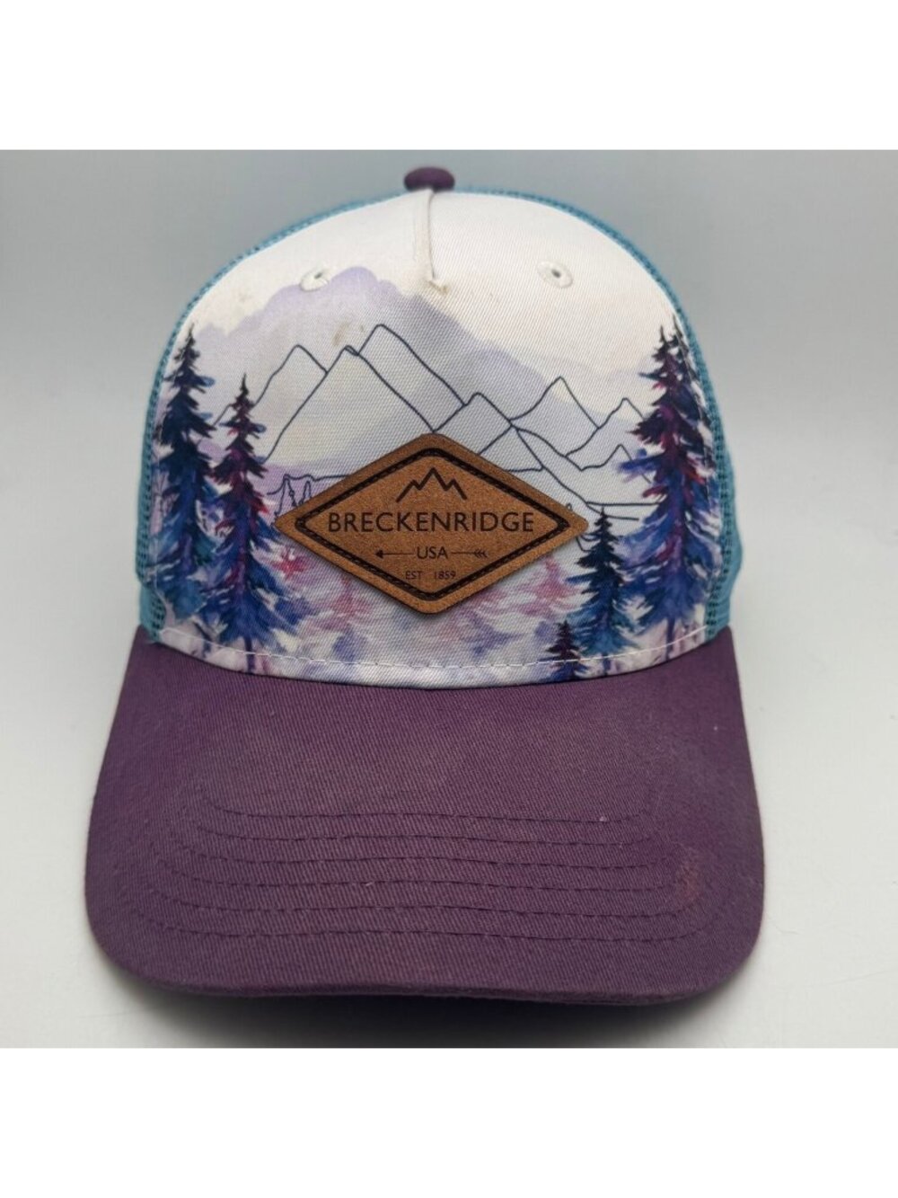Breckenridge Trucker Hat Men's Adjustable Snapback Mesh Cap Purple Blue LOCALE